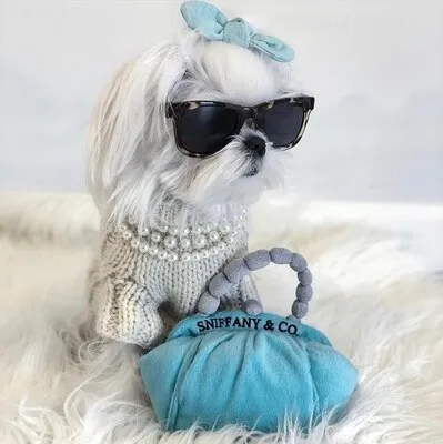Luxury Pet Toy Embroidery Dogs Toys Pulsh Sound Balls Squeak Toy Creative French Lady Style Plush Puppy Wine Perfume 1pcs