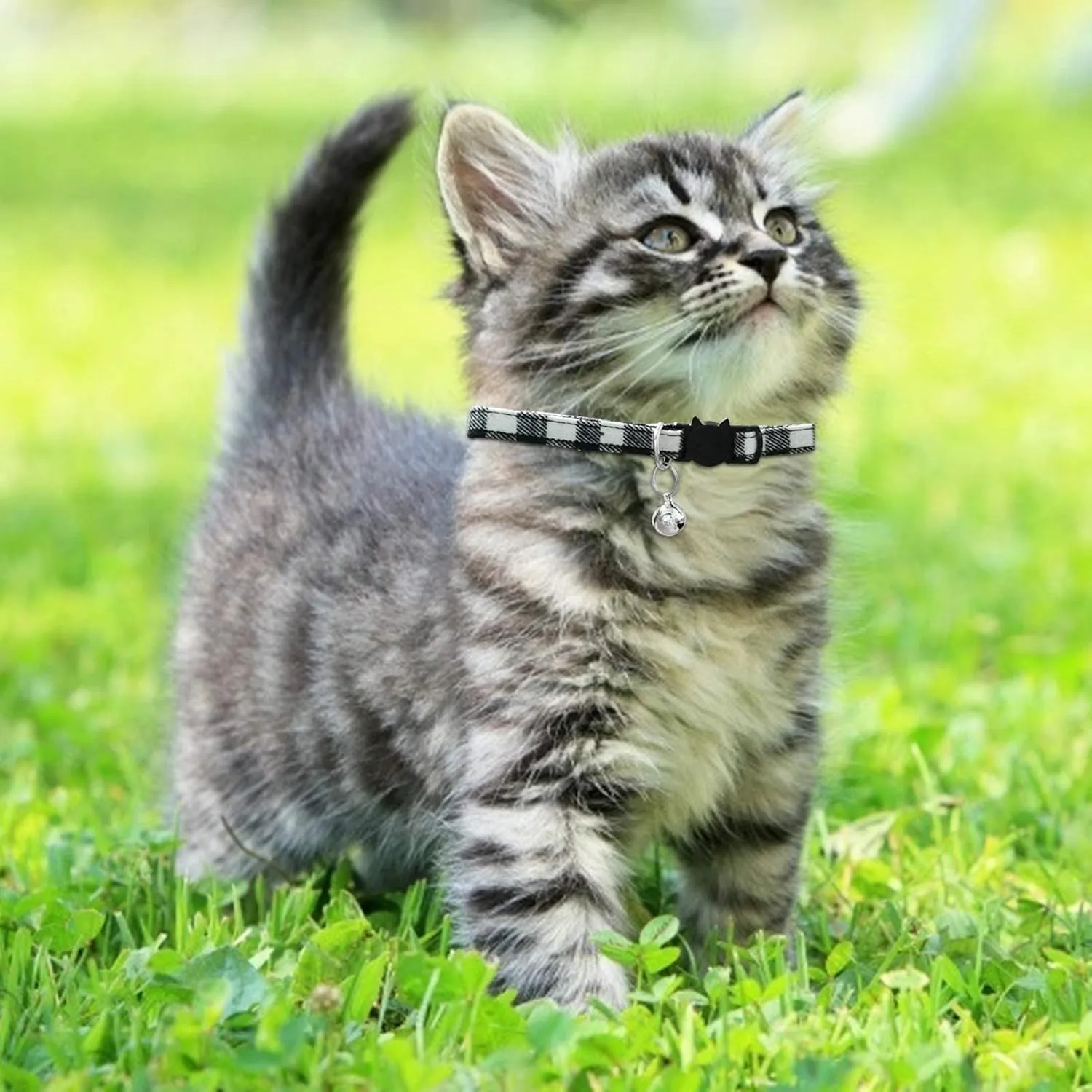 MJIYA Cat Collar with Bell, Breakaway Grid Collar with Plastic Buckle, Light Adjustable, Nylon, Kitty Collars