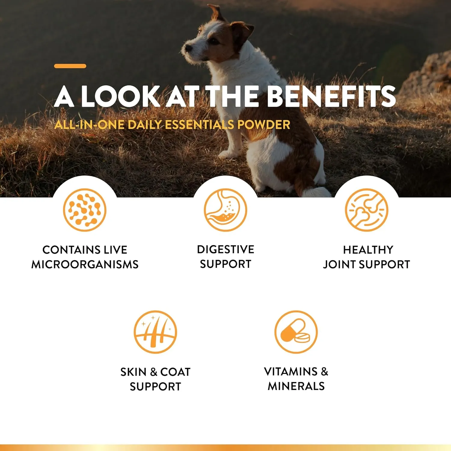 NaturVet All-in-One Dog Supplement - for Joint Support, Digestion, Skin, Coat Care  Dog Multivitamins with Minerals, Omega-3, 6, 9  Wheat-Free Vitamins for Dogs  13-Ounce Powder