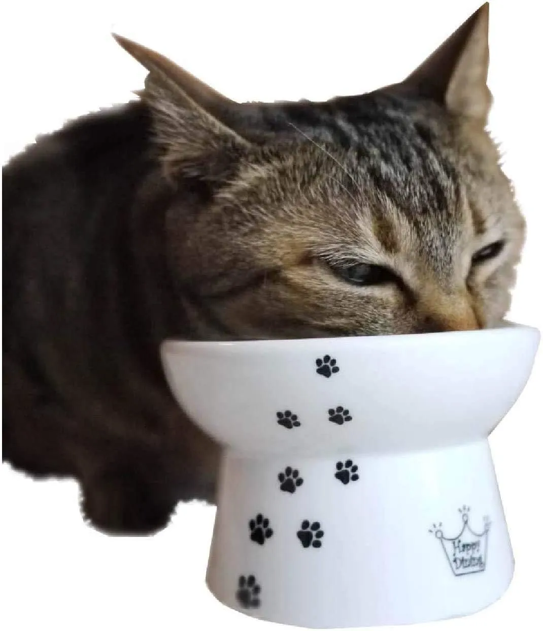 Necoichi Raised Stress Free Cat Food Bowl, Elevated, Backflow Prevention, Dishwasher and Microwave Safe, No.1 Seller in Japan! (Cat, Regular)
