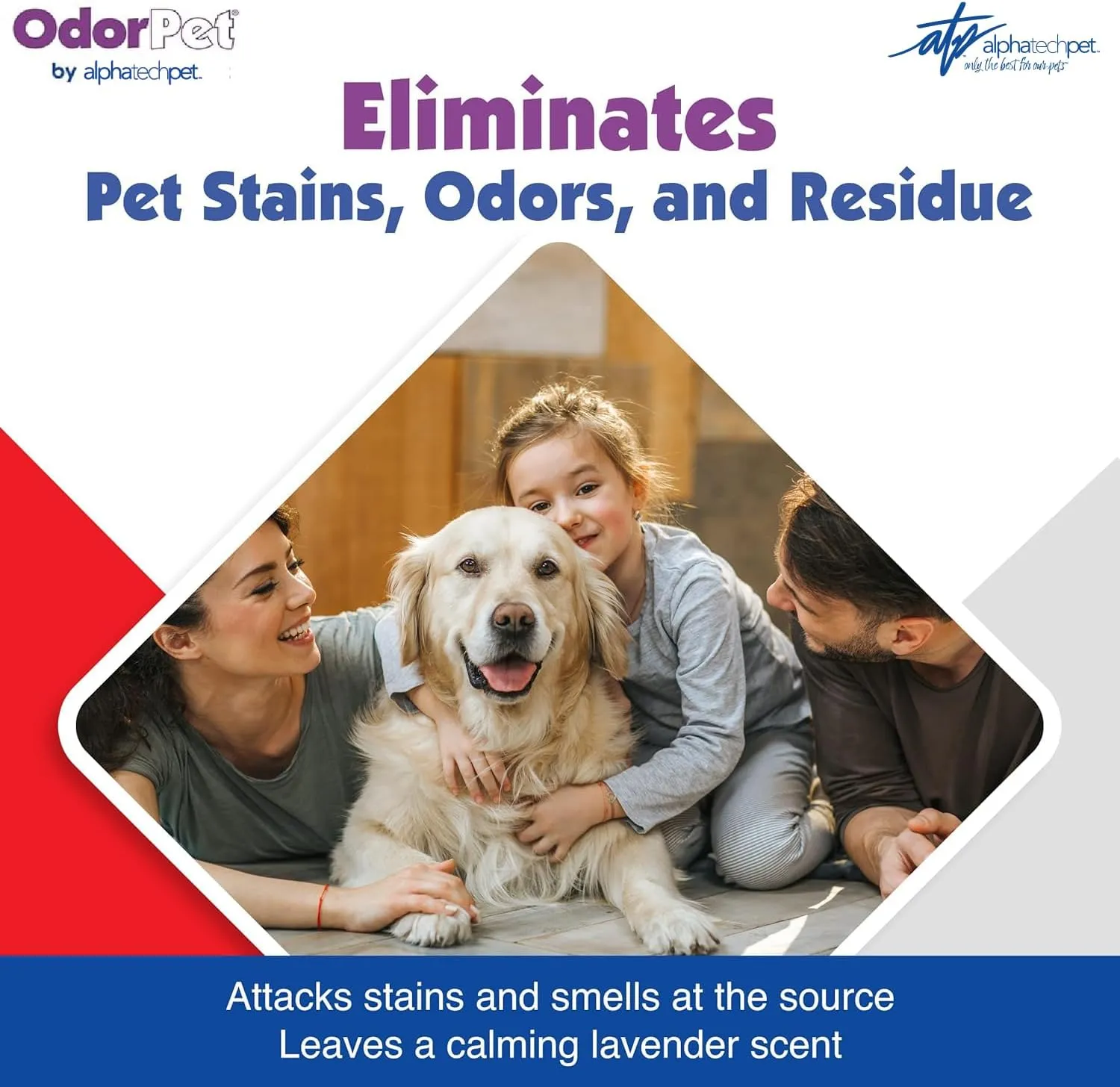 OdorPet Concentrate Stain and Odor Remover - 64 oz. (Makes 2.55 Gallons of Working Solution) - Lavender Scented Pet Odor Eliminator for Carpet, Floor and Furniture by Alpha Tech Pet