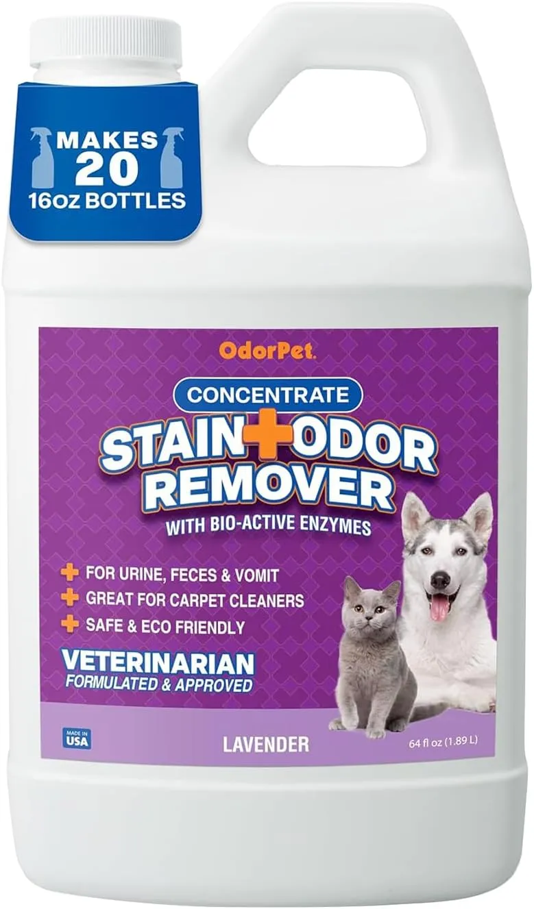 OdorPet Concentrate Stain and Odor Remover - 64 oz. (Makes 2.55 Gallons of Working Solution) - Lavender Scented Pet Odor Eliminator for Carpet, Floor and Furniture by Alpha Tech Pet