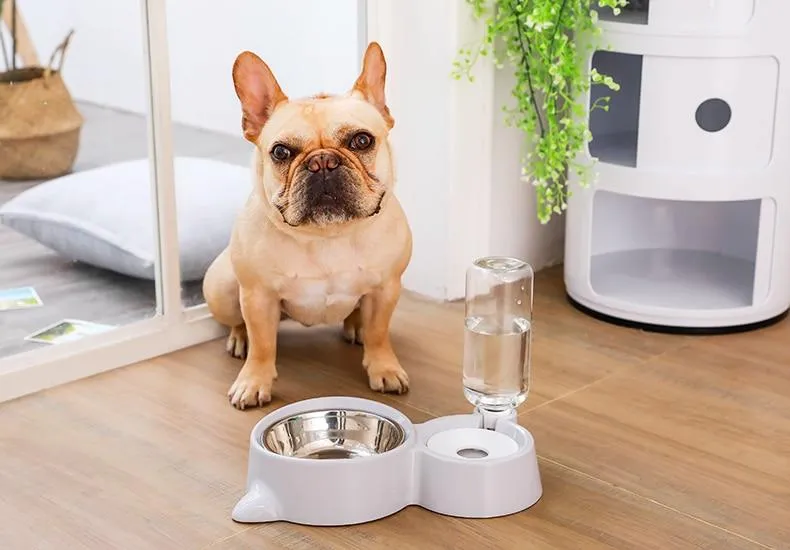 Pet Food Bowl with Self-filling Water Dispenser