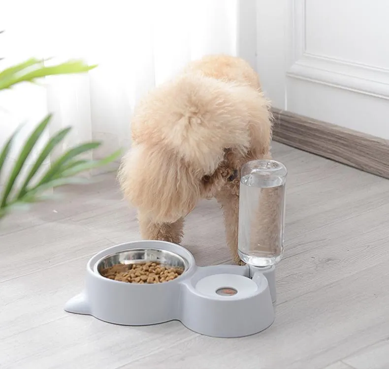 Pet Food Bowl with Self-filling Water Dispenser