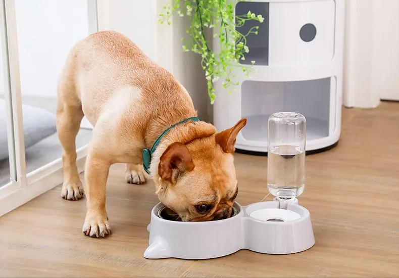 Pet Food Bowl with Self-filling Water Dispenser