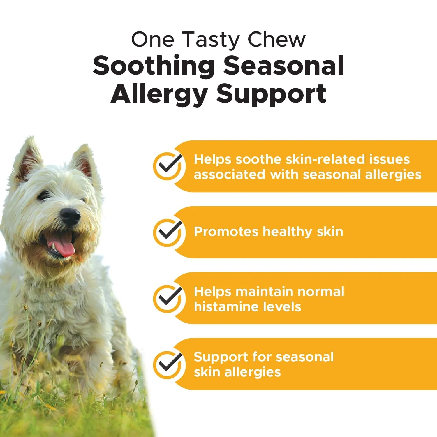 Pet Honesty Allergy Skin and Coat with Omega-3 Fish Oil Salmon Chewy Dog Supplements - 90 Count - 9.5 Oz