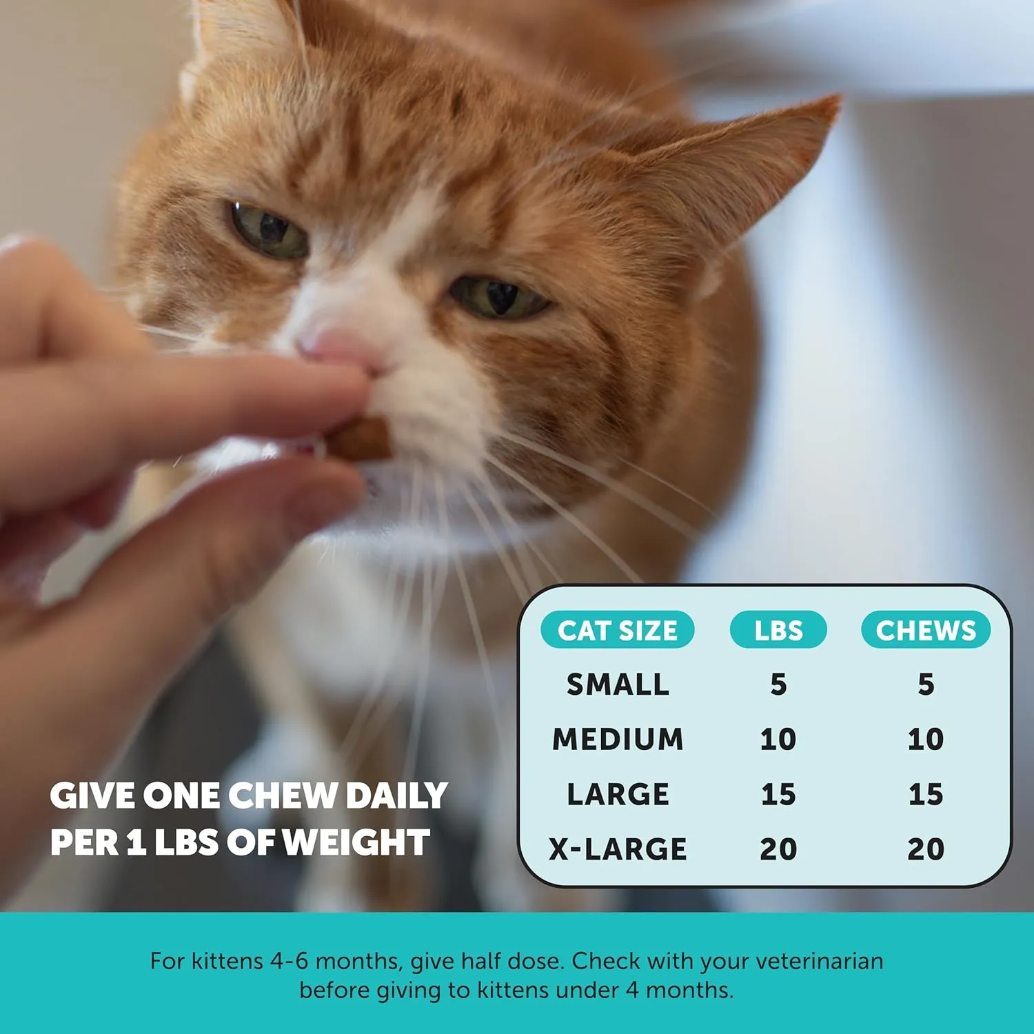 Pet Honesty Calming Chews for Cats - Cat Anxiety Relief   Helps Reduce Stress - Behavioral Support & Promotes Relaxation for Travel, Boarding, Vet Visits, Separation Anxiety - Chicken (30-Day Supply)
