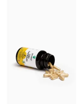 Pet Releaf CBD Hemp Oil Capsules 150mg Travel Tin Dog and Cat Health Supplements - 10 Pack