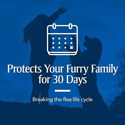 PetArmor Plus for Dogs, Flea and Tick Prevention for Small Dogs (5-22 Pounds), Includes 3 Month Supply of Topical Flea Treatments