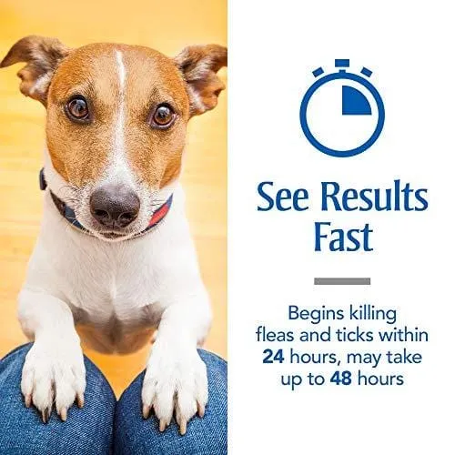 PetArmor Plus for Dogs, Flea and Tick Prevention for Small Dogs (5-22 Pounds), Includes 3 Month Supply of Topical Flea Treatments