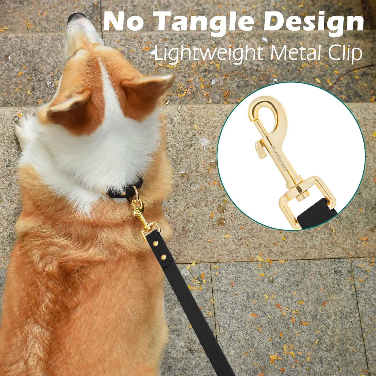 PetBonus No Tangle Waterproof Dog Leash, 5 FT Odor Proof Walking Training Lead, Non-Slip and Easy to Clean Puppy leashes for Small Medium Breeds Dogs (Black, S