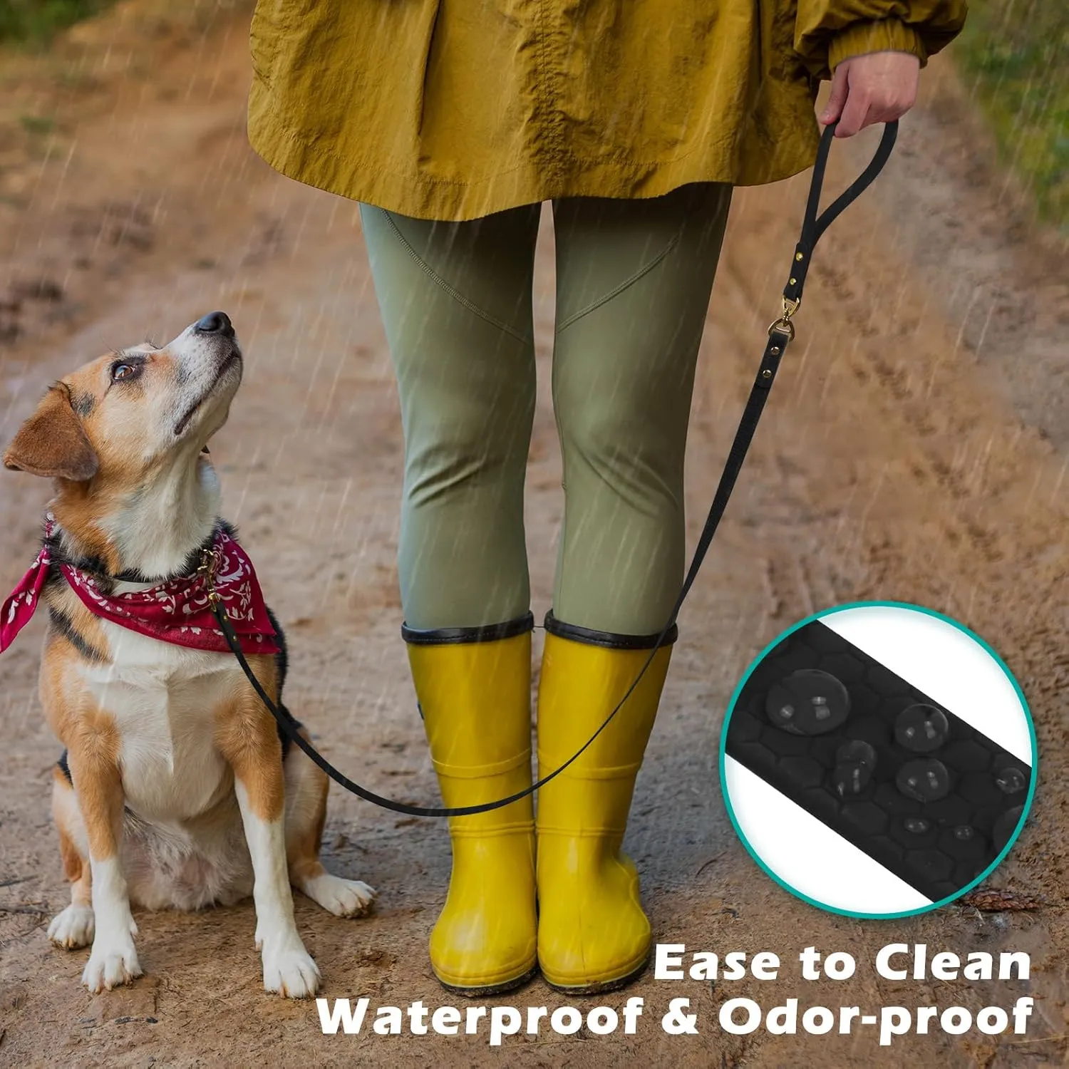 PetBonus No Tangle Waterproof Dog Leash, 5 FT Odor Proof Walking Training Lead, Non-Slip and Easy to Clean Puppy leashes for Small Medium Breeds Dogs (Black, S