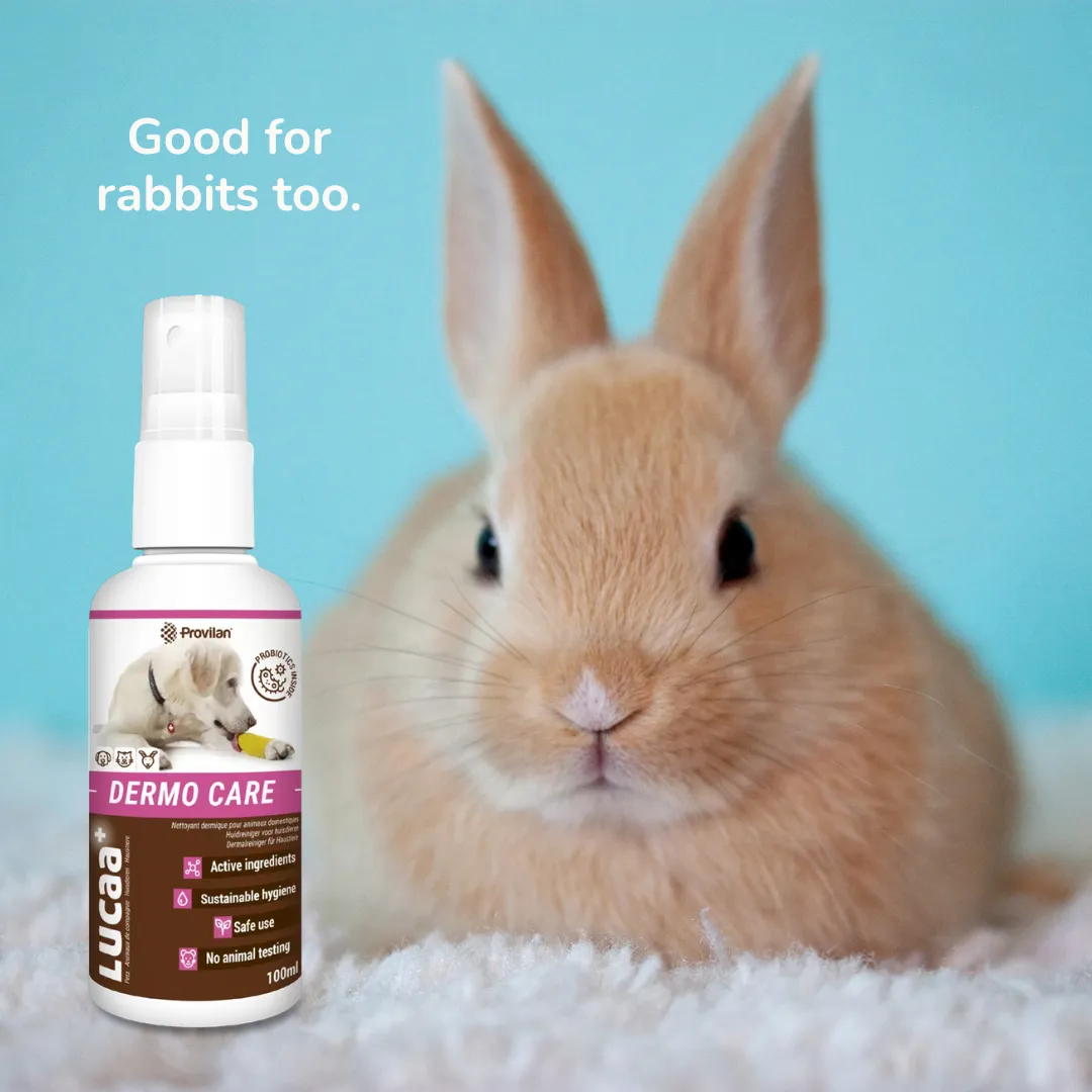 Probiotic Dermo Care Spray for Pets | Provilan Lucca 