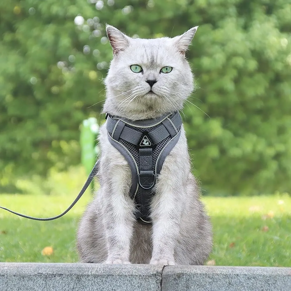 Puppy Harness,Cat Harness and Lead Set,No Pull Dog Cat Harness,Soft Mesh Breathable Reflective Puppy Cat Dog Vest Harnesses for Small Dogs Cats (Grey, Small)