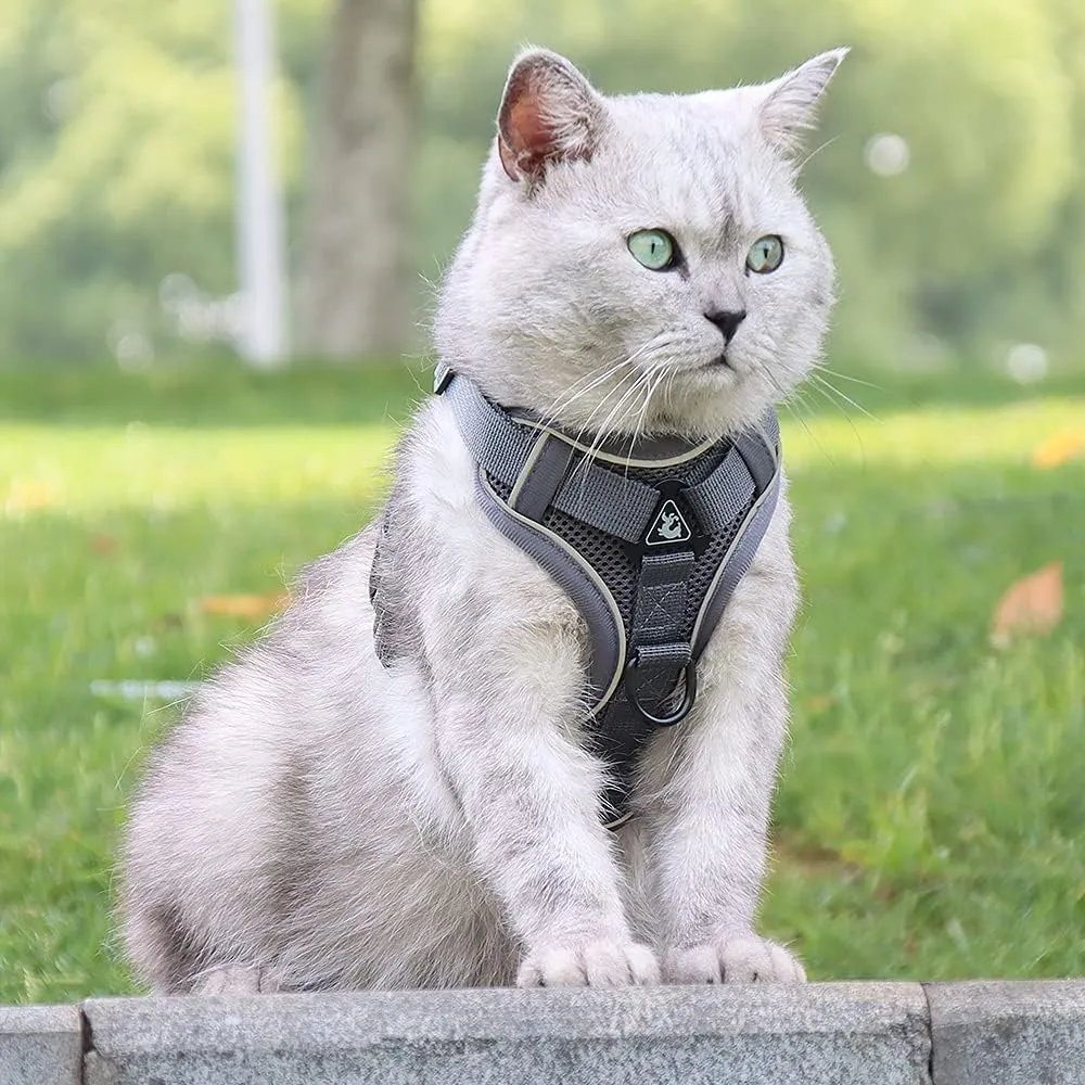 Puppy Harness,Cat Harness and Lead Set,No Pull Dog Cat Harness,Soft Mesh Breathable Reflective Puppy Cat Dog Vest Harnesses for Small Dogs Cats (Grey, Small)
