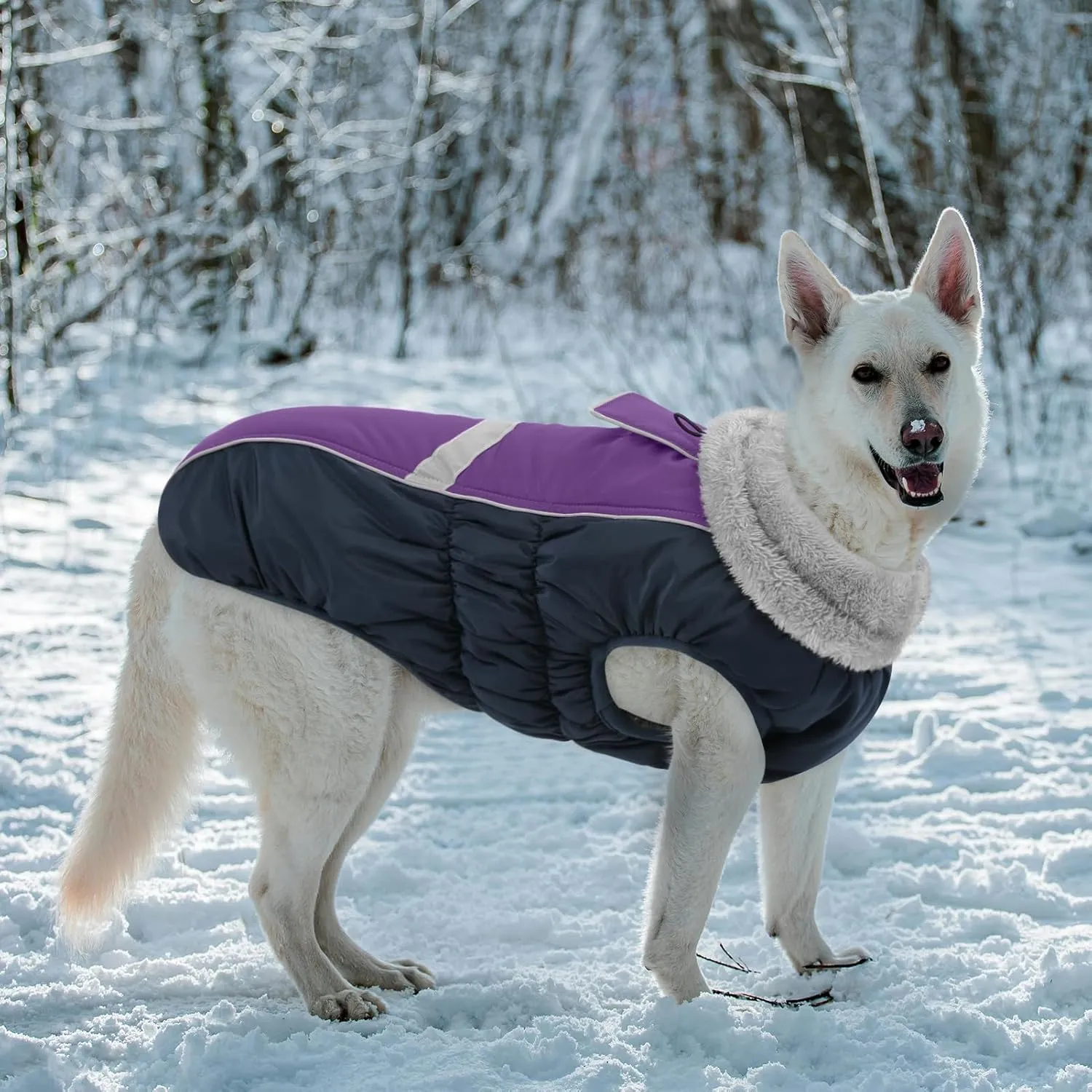 Queenmore Warm Fleece Dog Jacket - Cold Weather Waterproof Dog Snowsuit, Reflective Turtleneck, Purple, XL