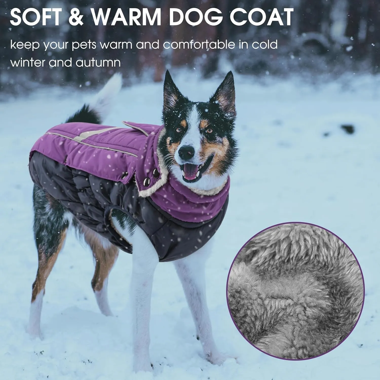 Queenmore Warm Fleece Dog Jacket - Cold Weather Waterproof Dog Snowsuit, Reflective Turtleneck, Purple, XL
