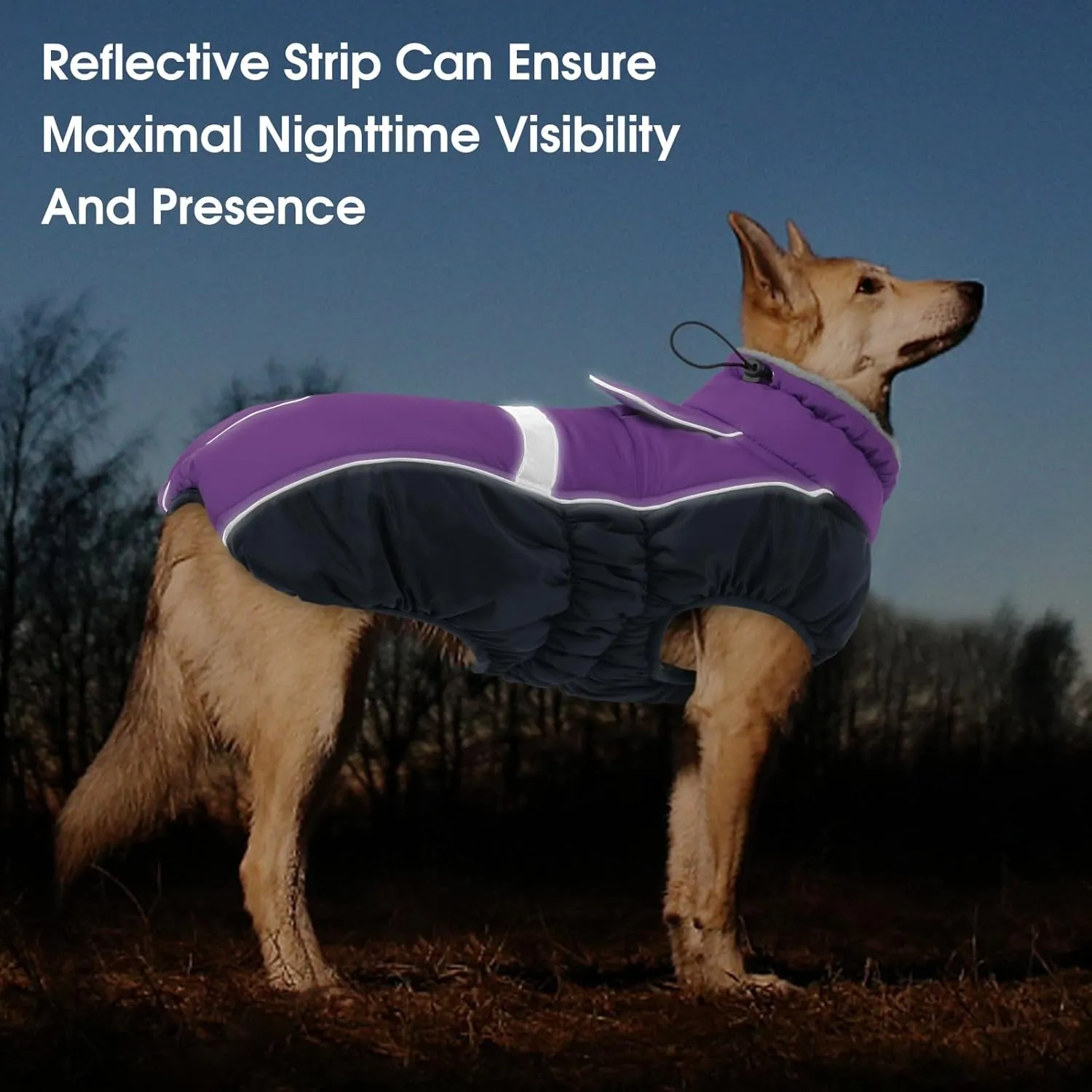 Queenmore Warm Fleece Dog Jacket - Cold Weather Waterproof Dog Snowsuit, Reflective Turtleneck, Purple, XL