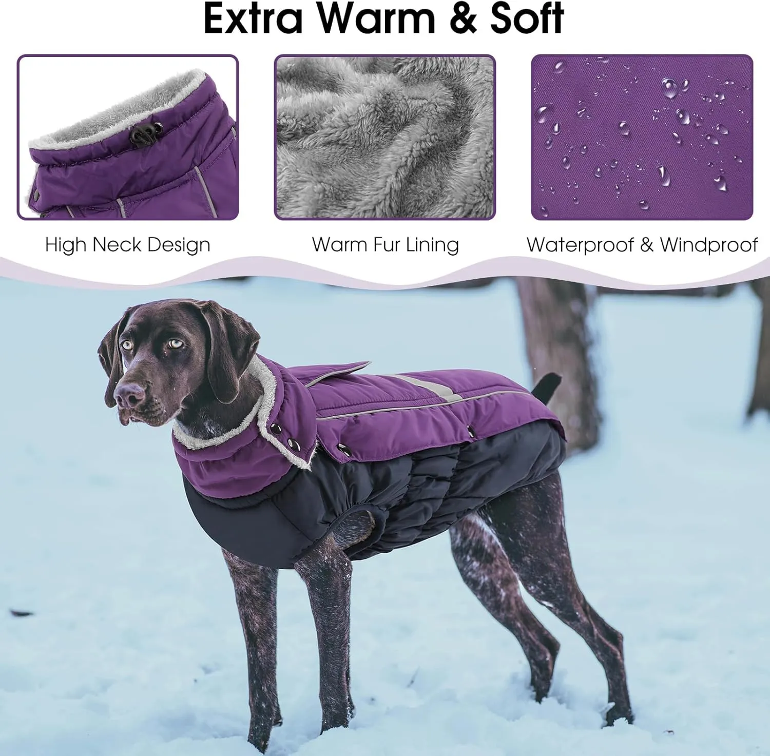 Queenmore Warm Fleece Dog Jacket - Cold Weather Waterproof Dog Snowsuit, Reflective Turtleneck, Purple, XL