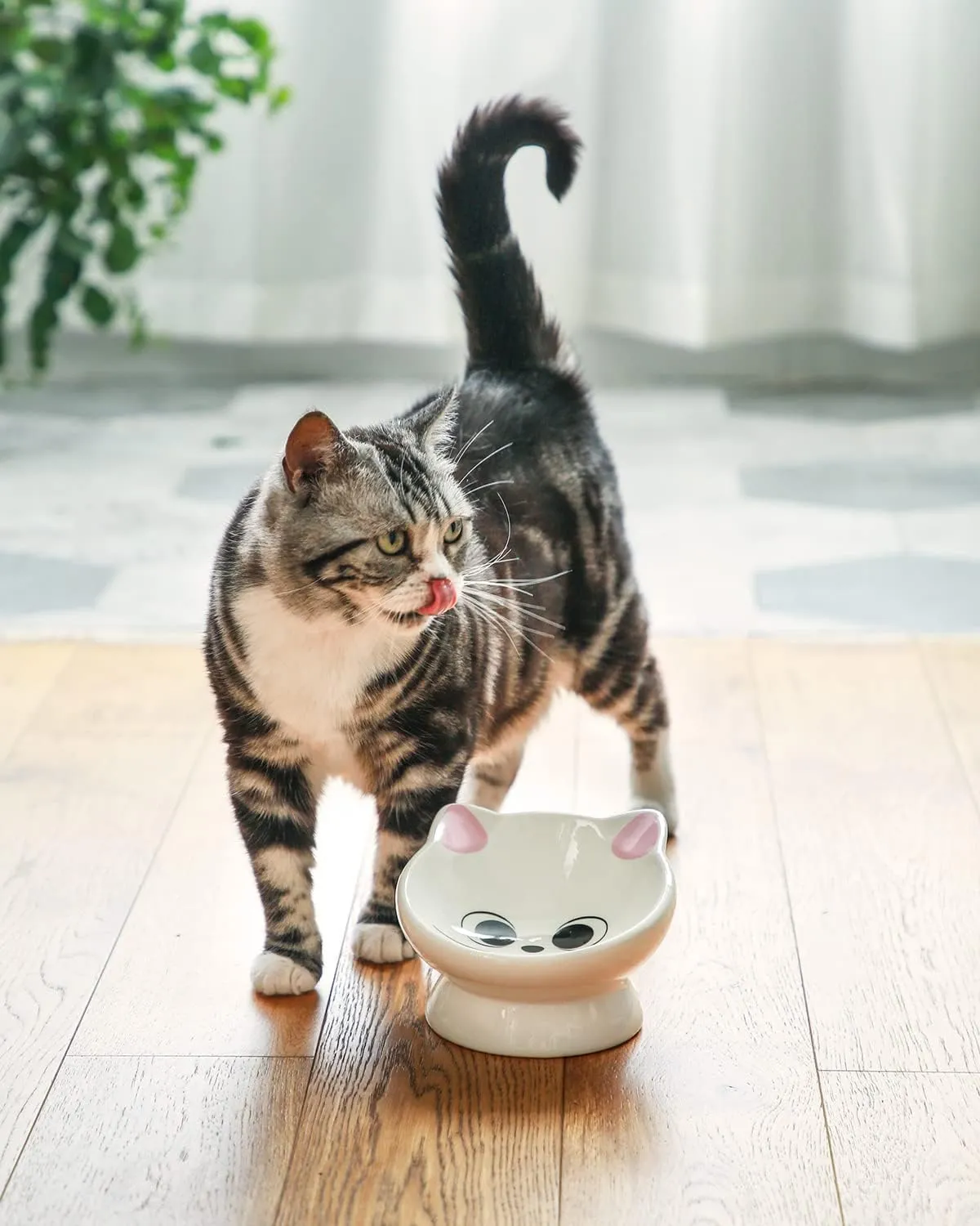 Raised Ceramic Cat Food Bowl - 15 Tilted, Spine Protection, Anti-Vomiting, Backflow Prevention for Adult Cats, Kittens, and Small Dogs - Pink