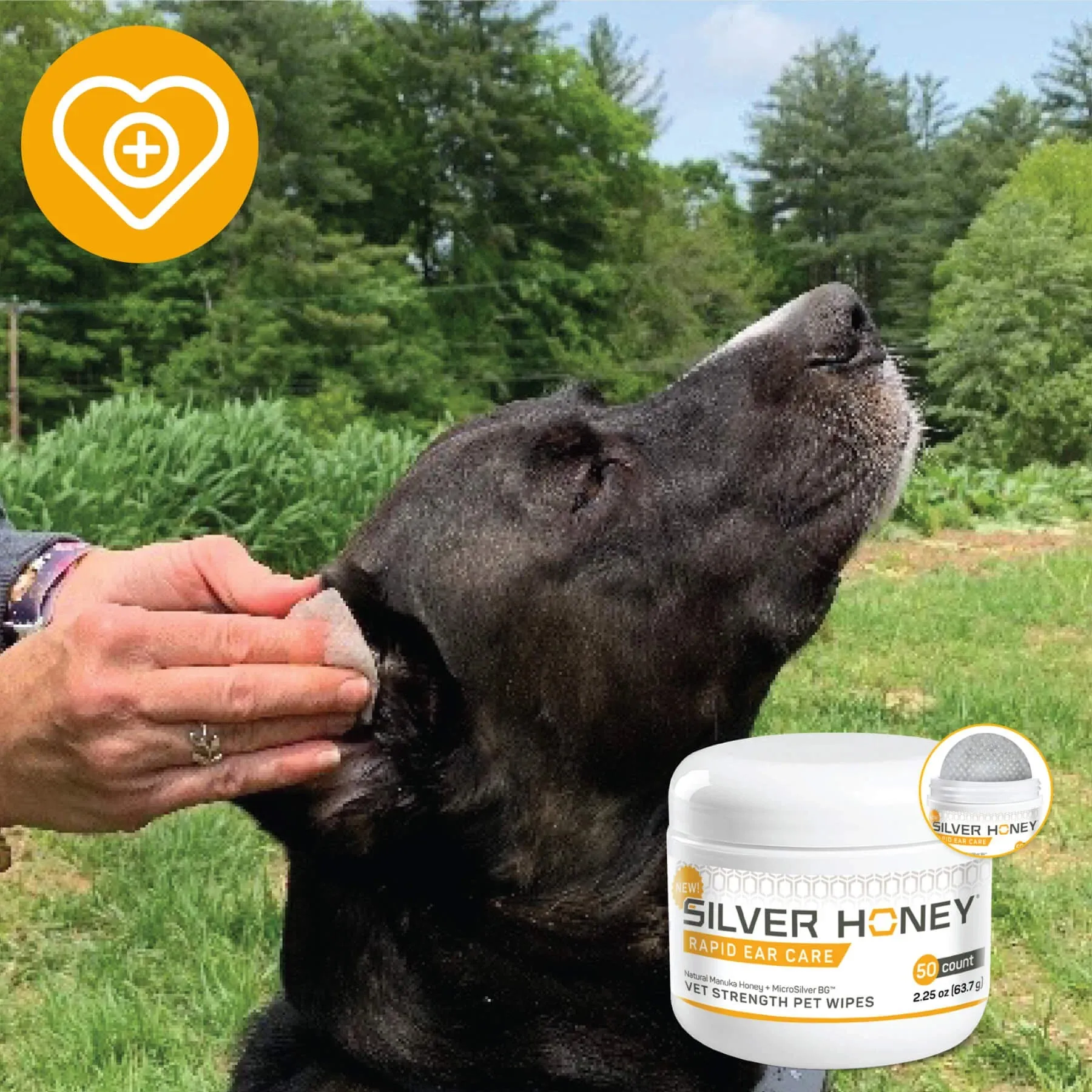 Rapid Ear Care Vet Strength Pet Wipes - 50ct