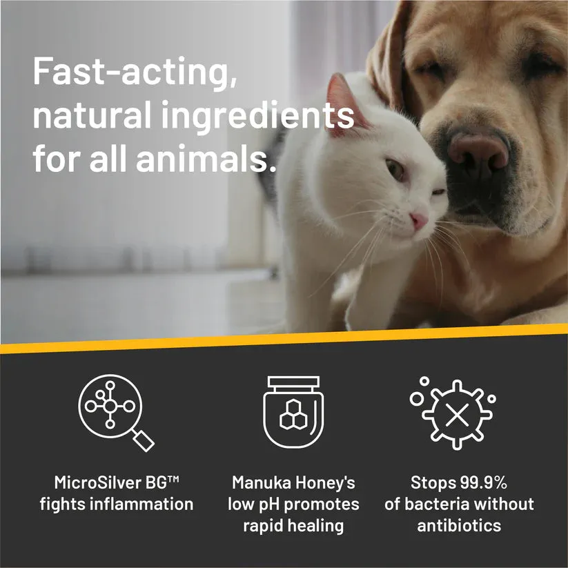 Rapid Ear Care Vet Strength Pet Wipes - 50ct