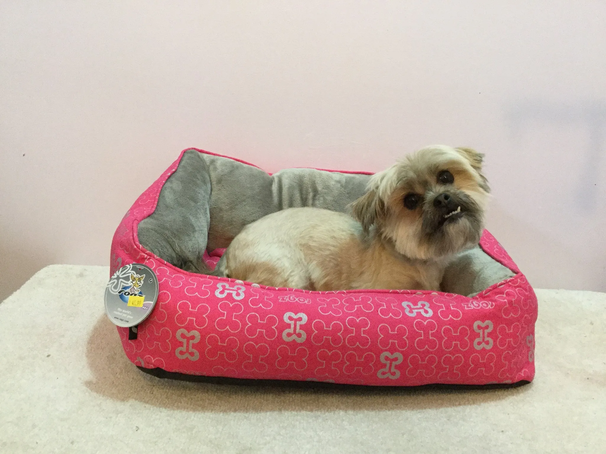 Rogz Trendy Podz Beds in Pink Bones (Small) SALE