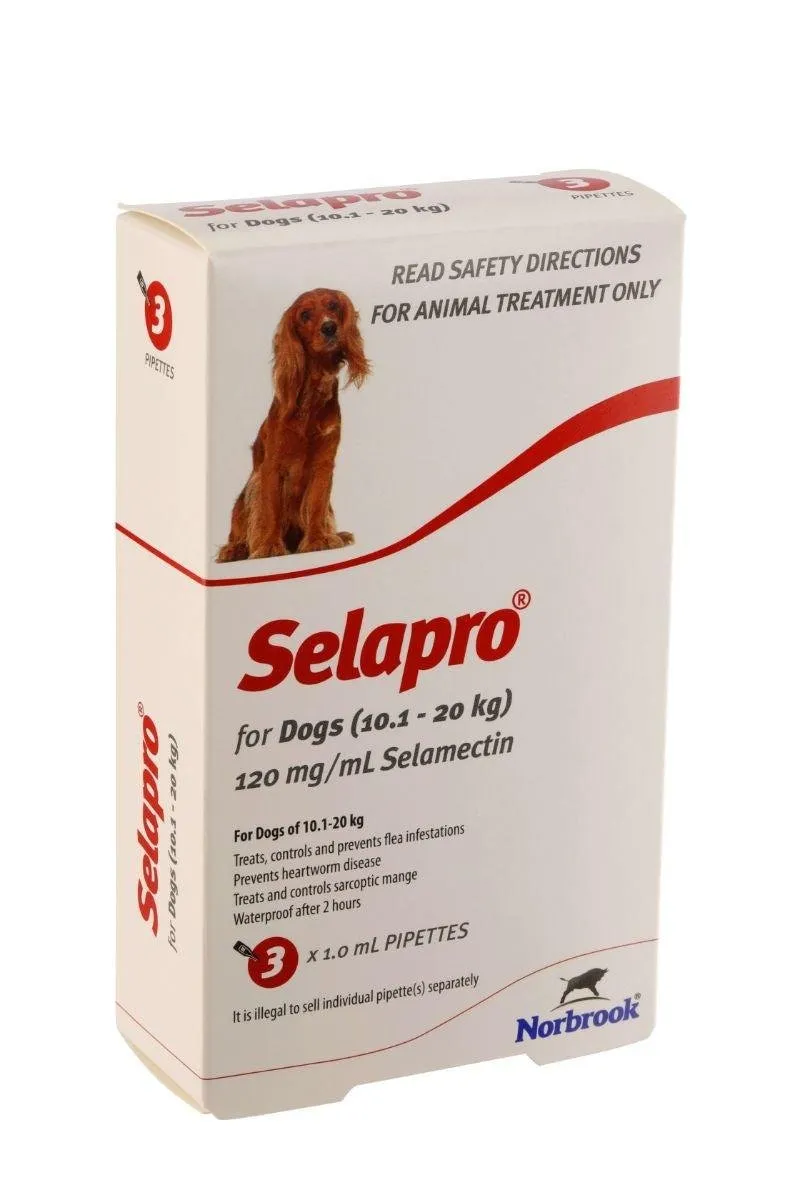 Selapro Flea & Worming Spot On Treatment 10.1-20kg Dog