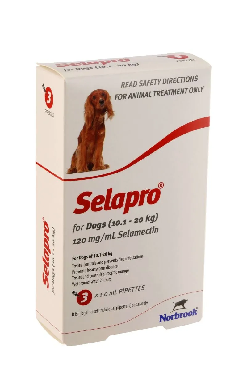 Selapro Flea & Worming Spot On Treatment 10.1-20kg Dog