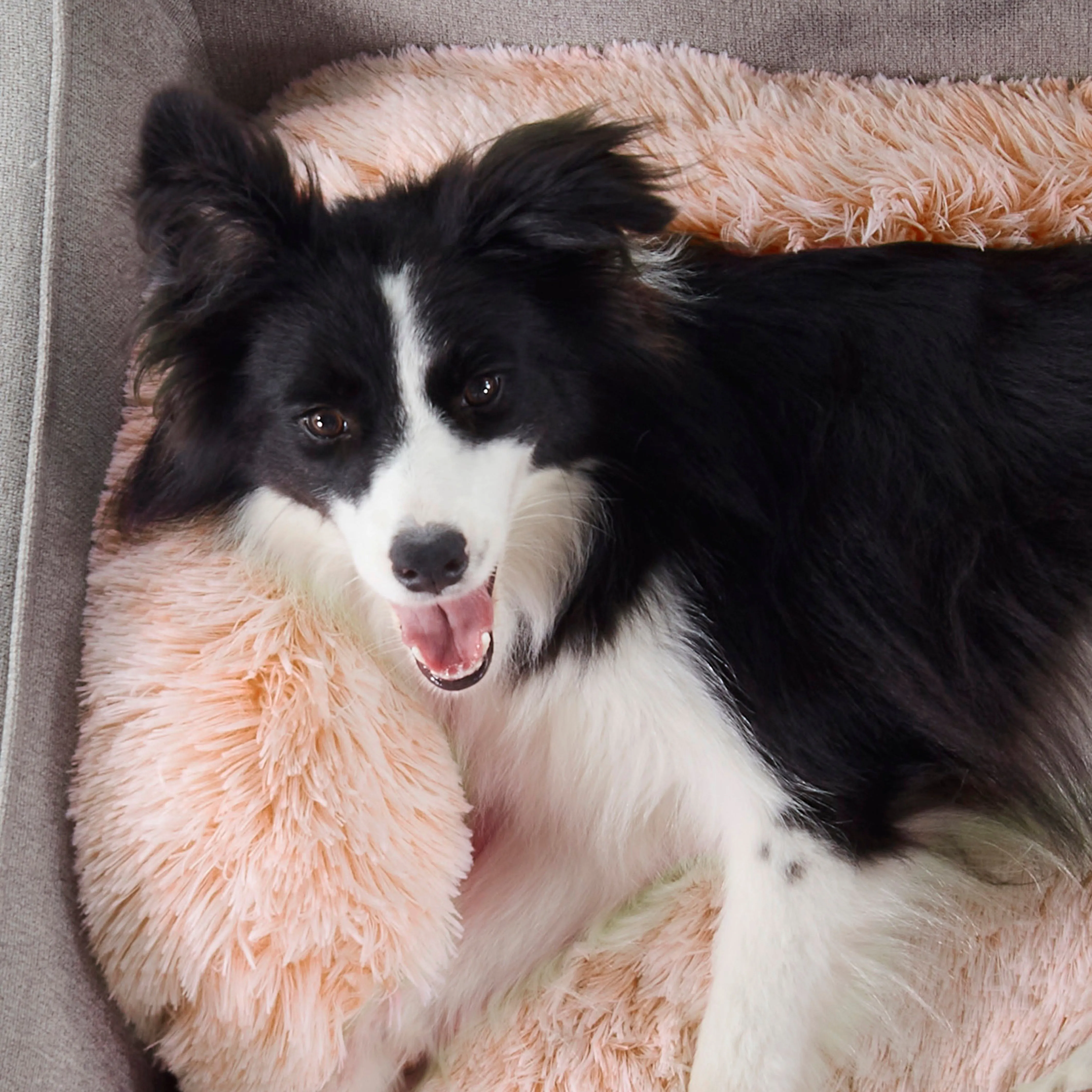 Shaggy Faux Fur Bolster Sofa Protector Pet Bed - Soft Beige