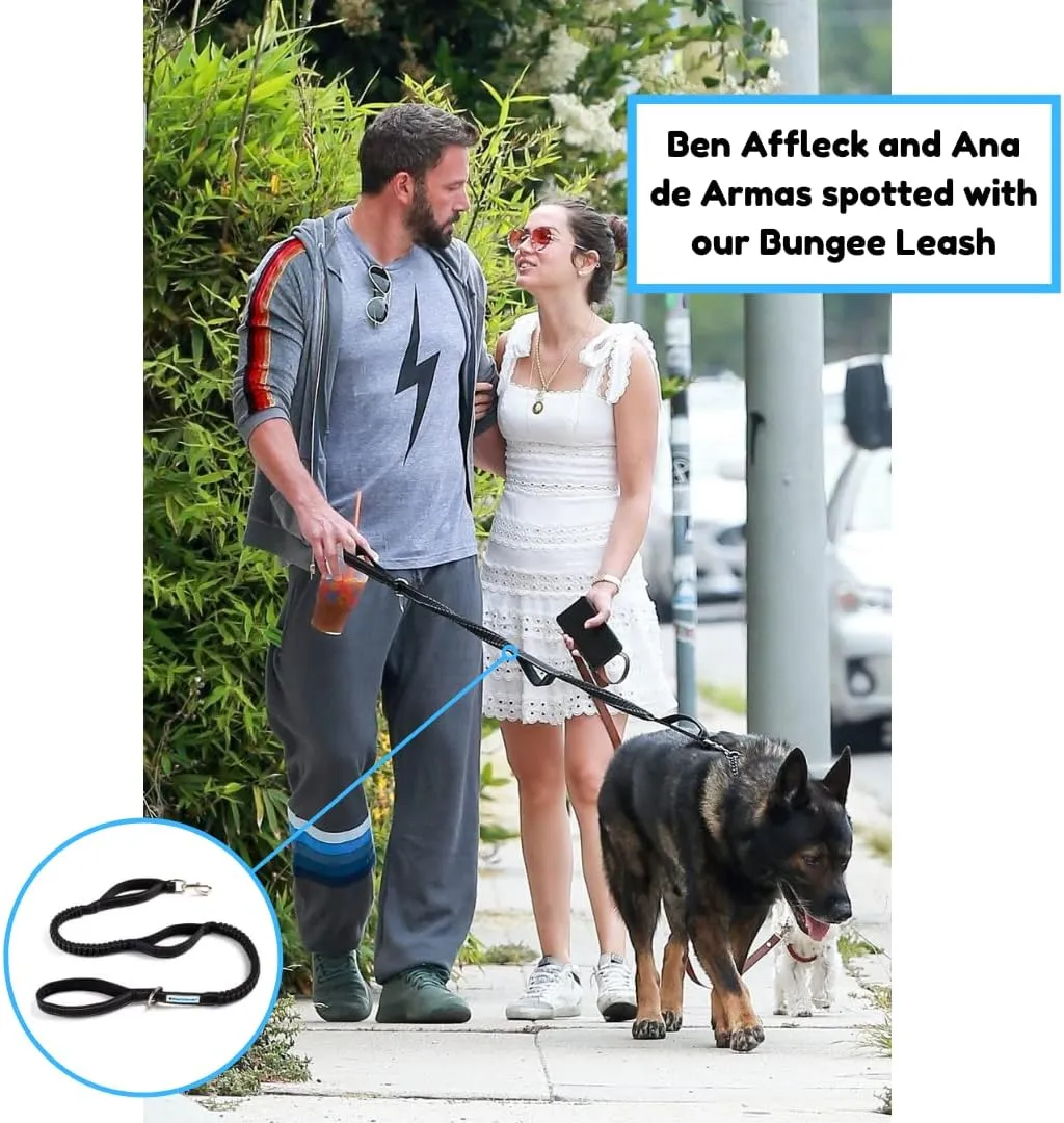 Shed Defender Shock Absorbing Bungee Leash - Three Padded Traffic Handles, Designed in The USA, Stretches 4-7ft, Elastic Dog Leash, Reflective Stitching, Large Dog & Small Breed, Heavy Duty, Black