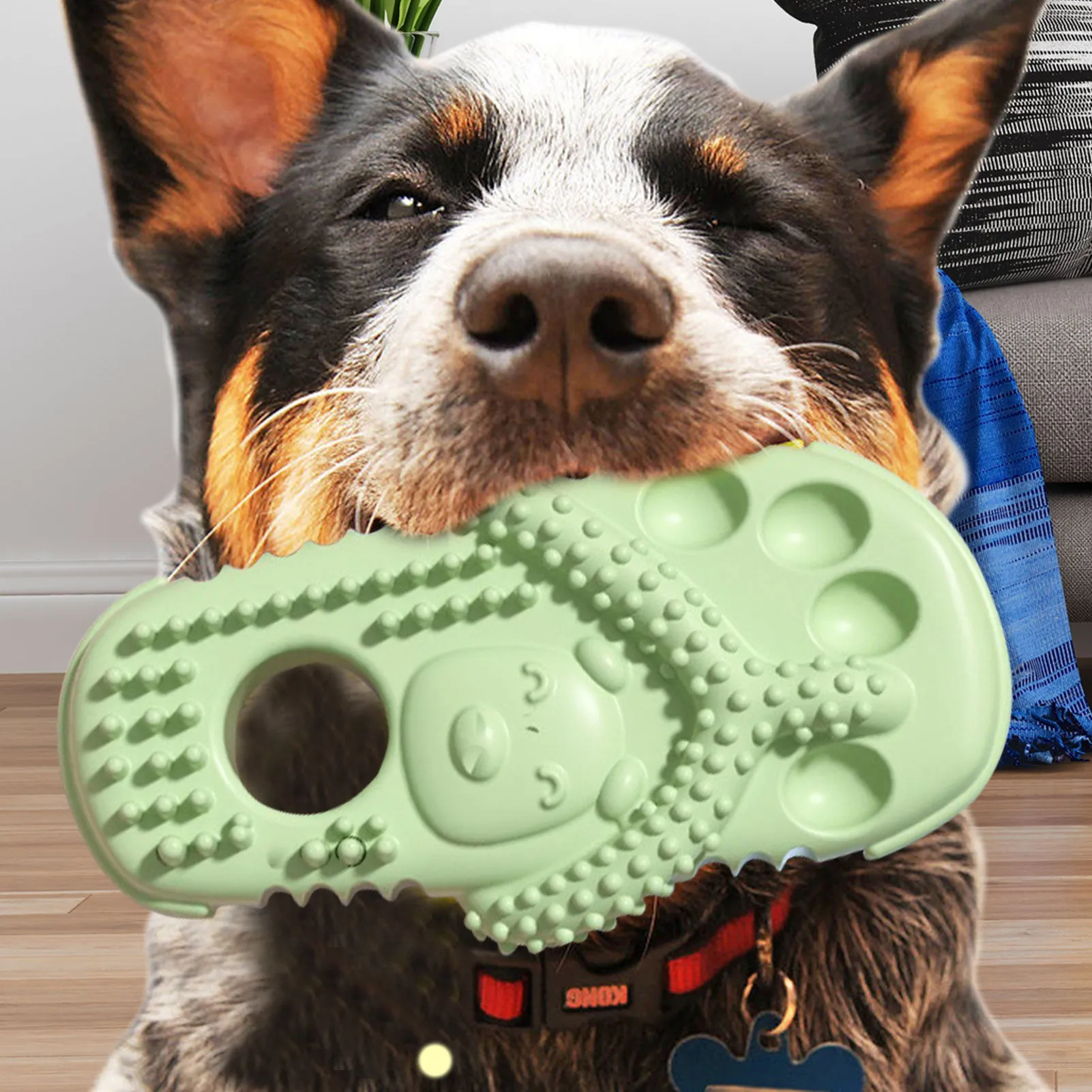 Slipper Shape Dog Chew Toys: TPR Dog Teething Toys for Interactive Fun and Boredom Relief