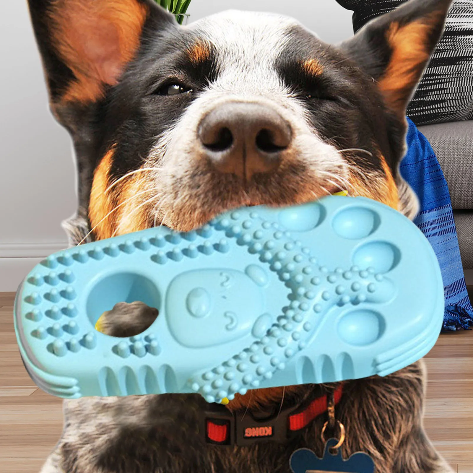 Slipper Shape Dog Chew Toys: TPR Dog Teething Toys for Interactive Fun and Boredom Relief