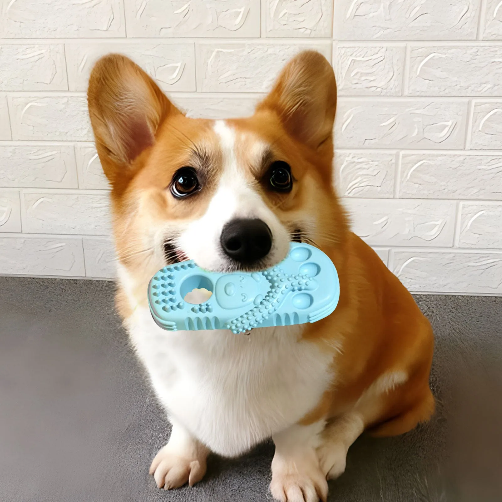 Slipper Shape Dog Chew Toys: TPR Dog Teething Toys for Interactive Fun and Boredom Relief