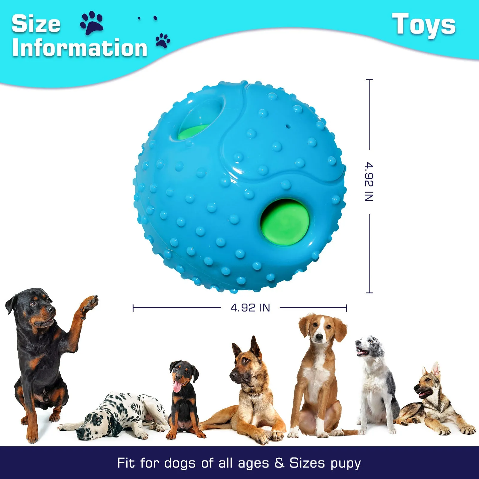 Squeaky Black Dog Play Ball