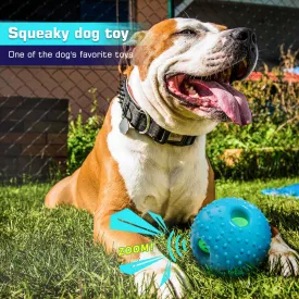 Squeaky Black Dog Play Ball