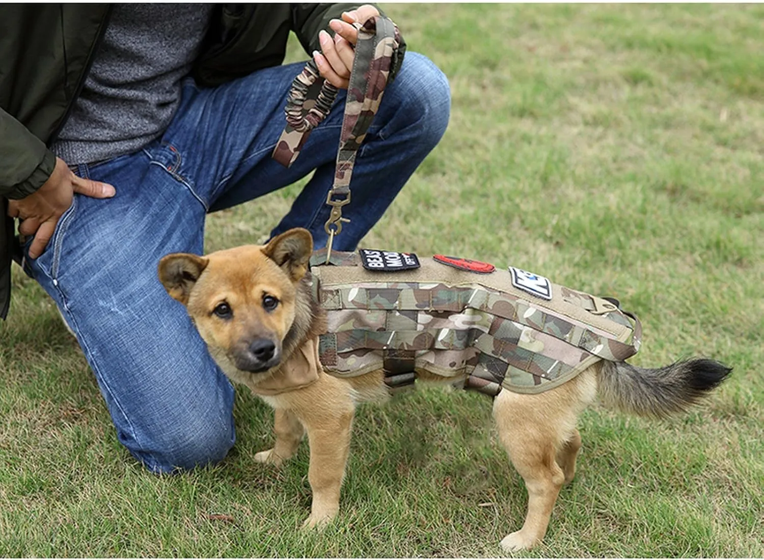 Tactical Scorpion Gear Dog Leash Canine K9 Military Training Vest Harness