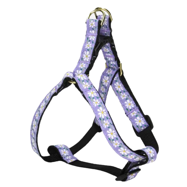 Teacup Harness | Daisy