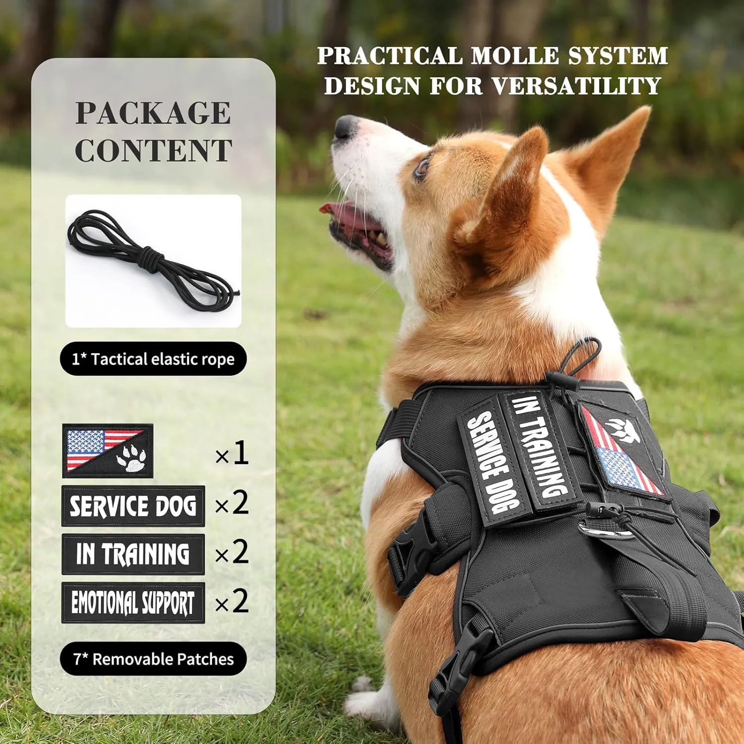 VOOPET Escape Proof Dog Harness, Soft Padded Full Body Pet Harness, Reflective No Pull Dog Harness with Handle and 2 Leash Clips for Medium Dogs Walking Hiking Training (Black,M)