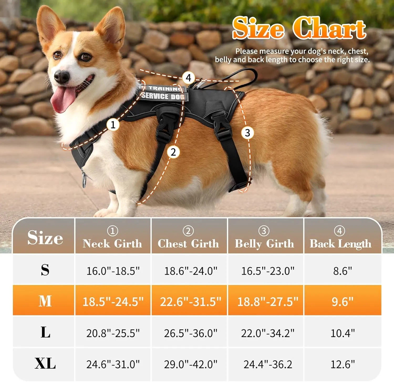 VOOPET Escape Proof Dog Harness, Soft Padded Full Body Pet Harness, Reflective No Pull Dog Harness with Handle and 2 Leash Clips for Medium Dogs Walking Hiking Training (Black,M)