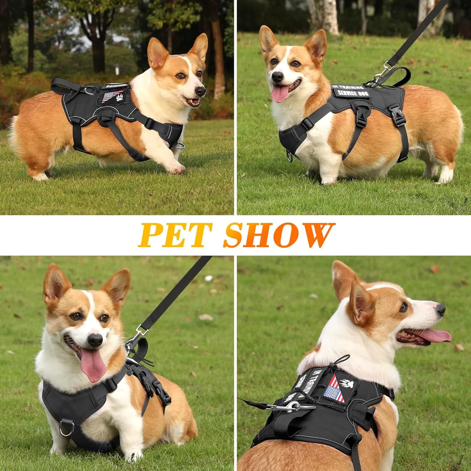 VOOPET Escape Proof Dog Harness, Soft Padded Full Body Pet Harness, Reflective No Pull Dog Harness with Handle and 2 Leash Clips for Medium Dogs Walking Hiking Training (Black,M)