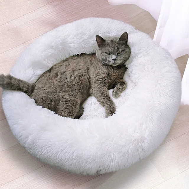 Warm Cat Bed House For Small & Medium Dogs and Cats