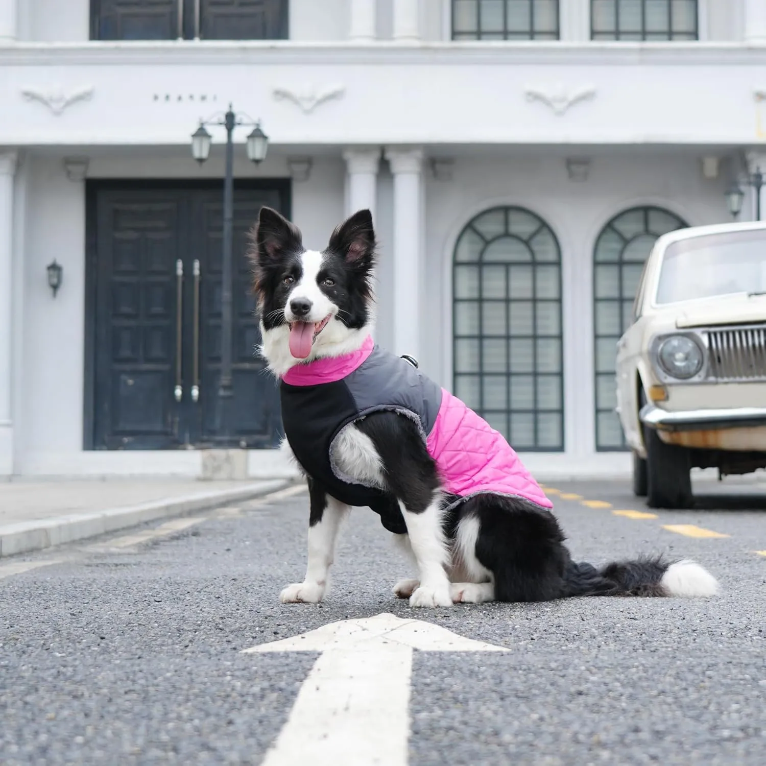 Warm Fleece Dog Coats for Small Dogs,D-Rings Waterproof Puppy Jacket for Cold Winter,Pink M