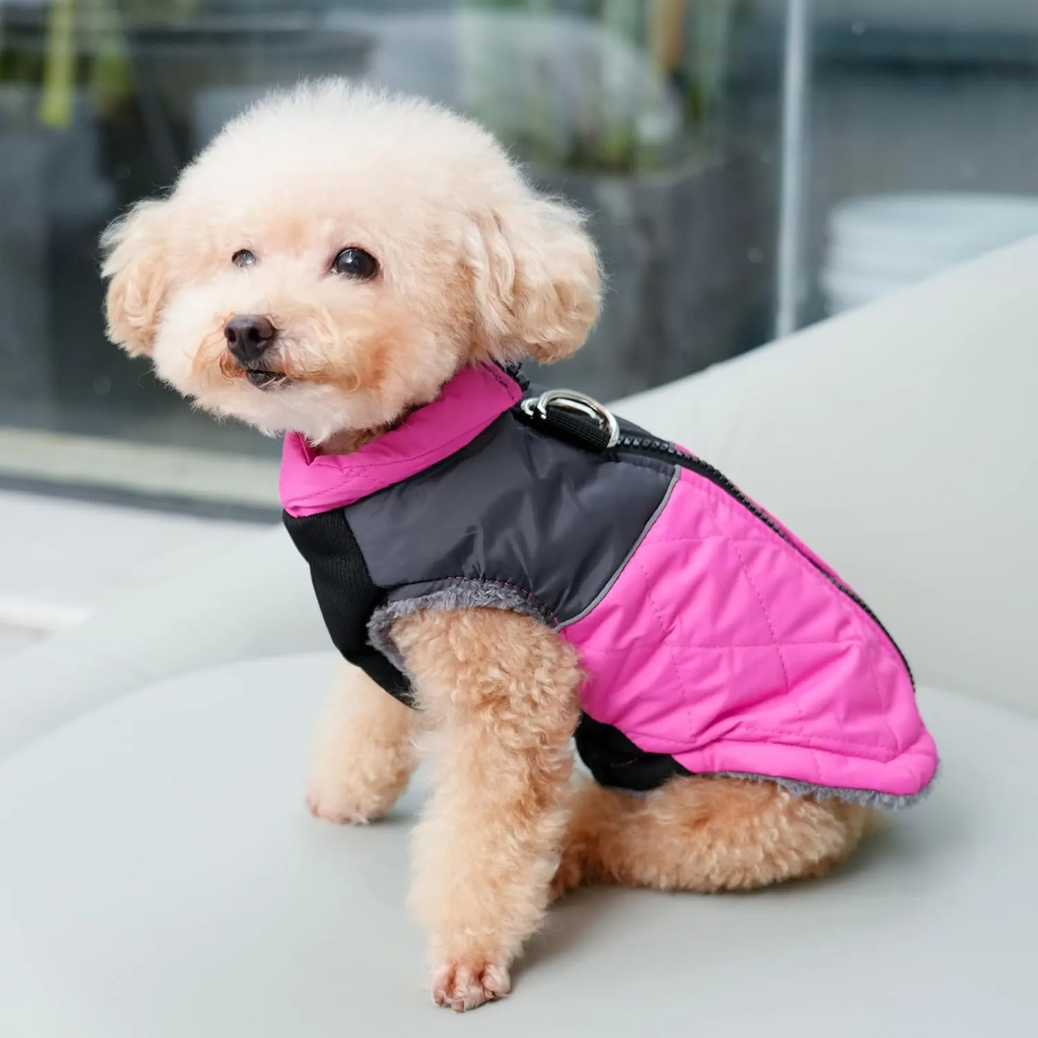 Warm Fleece Dog Coats for Small Dogs,D-Rings Waterproof Puppy Jacket for Cold Winter,Pink M