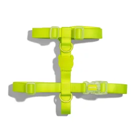 Zee.Dog Neopro Lime H-Harness